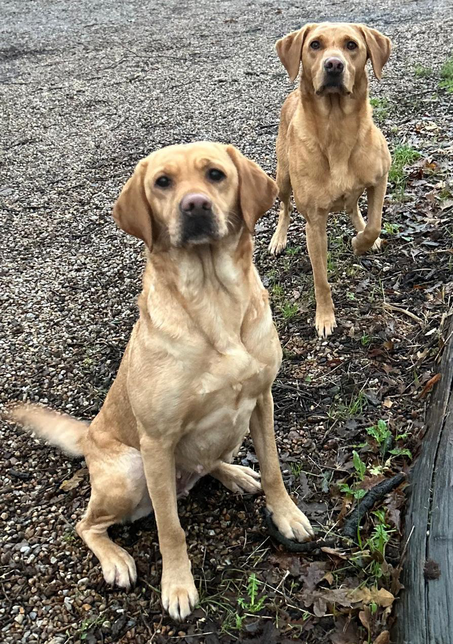 Maggie and Flo Image